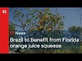 ORANGE JUICE - Brazil to benefit from Florida orange juice squeeze 🍊