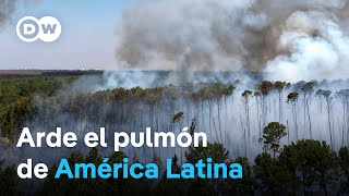 América Latina sufre sus peores incendios desde 2010