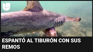 El momento en que un tiburón martillo ataca a un hombre en un kayak: usó los remos para espantarlo