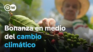 Cafeteros colombianos mejoran sus ingresos