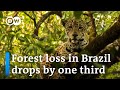 AMAZON.COM INC. - Amazon deforestation has slowed down, report reveals | DW News