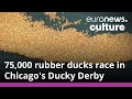 75,000 rubber ducks make a splash in the Chicago River for Ducky Derby 2022