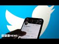 Twitter: How many bot accounts are there? - BBC News