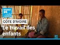 Côte d'Ivoire : la lutte contre le travail des enfants dans le cacao • FRANCE 24