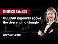 Technical Analysis: 24/02/2023 - USDCAD improves above the descending triangle