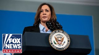 Major union decides not endorse Kamala Harris in 2024 election