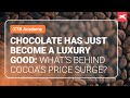 Chocolate has just become a luxury good. What’s behind cocoa's price surge?