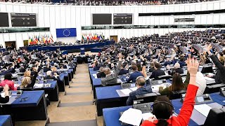 Enthüllt: Millioneneinnahmen der EU-Abgeordneten durch Nebenjobs