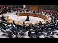 Weltsicherheitsrat: USA blockieren UN-Vollmitgliedschaft für Palästina