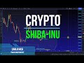📊 Shiba-Inu (Crypto): Approccio ad importante area di supporto di medio termine!