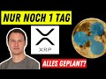 XRP ABVERKAUF FAST VORBEI | DAS WAR DER PLAN! | Neue Ripple NFT Partnerschaft | Stream Highlights