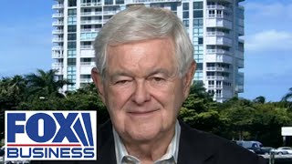 Newt Gingrich: These protests are anti-American