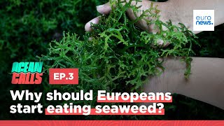 Why should Europeans start eating seaweed?