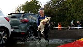 Danimarca, cani e padroni insieme per una divertente corsa ad ostacoli