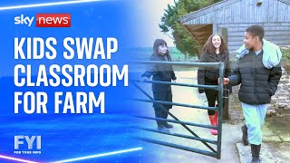 SWAP FYI: Kids swap the classroom for a farm