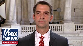 Tom Cotton on arrest of terrorist-tied migrants in US: &#39;Just the tip of the iceberg&#39;
