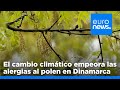 El cambio climático empeora los efectos de las alergias al polen en Dinamarca