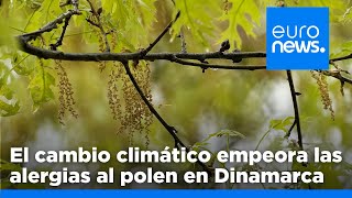 El cambio climático empeora los efectos de las alergias al polen en Dinamarca