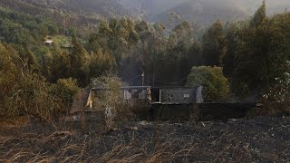 Nationaler Trauertag in Portugal: Fünf Tote nach heftigen Waldbränden