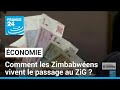 Zimbabwe : Le ZiG, nouvelle monnaie du pays • FRANCE 24