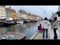 Climate resilience: Copenhagen's dream of a flood-proof city