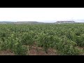 Bayer presenta en La Rioja el proyecto Dionisio, su apuesta por la biodiversidad en España