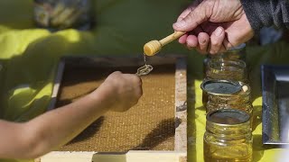 HONEY MEPs seek clearer honey labelling to curb spike in bogus imports