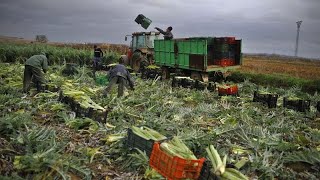 Spanische Landwirte: Abkommen mit Mercosur zerstört Europas Landwirtschaft