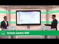 Analyse aandeel DSM | LYNX Beleggen