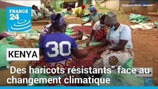 Kenya : &quot;des haricots résistants&quot; face au changement climatique • FRANCE 24