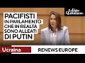 L'accusa di Renew Europe: "C'è chi si dichiara pacifista ma in realtà è alleato di Putin"