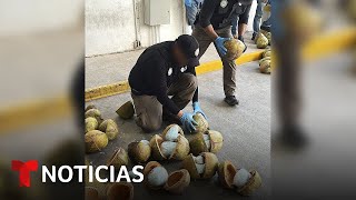 Decomisan en México un cargamento de fentanilo escondido en cocos que tenían como destino EE.UU.