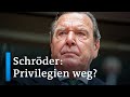 Kein Sonderstatus mehr für Altkanzler Schröder?  | DW Nachrichten