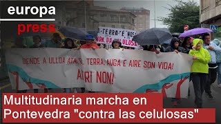 Multitudinaria marcha en Pontevedra &quot;contra las celulosas&quot;