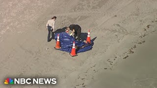 Human head washes ashore on Florida beach