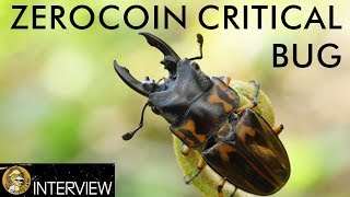 ZCOIN Zerocoin Critical Flaw Explained With Reuben of Zcoin Crypto
