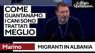 Migranti in Albania, Marino: &quot;Come Guantanamo. Cani vengono trattati meglio&quot;