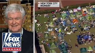 Newt Gingrich: There must be &#39;accountability&#39; for colleges rife with anti-Israel chaos