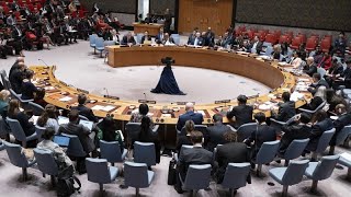 Consiglio di Sicurezza Onu, veto degli Usa sull&#39;adesione della Palestina alle Nazioni Unite