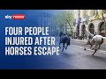 Four people injured after military horses escape in London