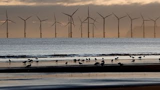 En Suède, le gouvernement retoque 13 projets de parcs éoliens offshore