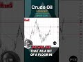 Crude Oil Forecast and Technical Analysis, April 9, 2024 by Chris Lewis  #crudeoil #WTIoil #brentoil