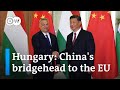 Why Hungary is so important for China | DW News