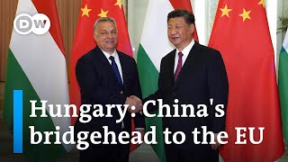 Why Hungary is so important for China | DW News