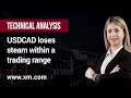 Technical Analysis: 03/03/2023 - USDCAD loses steam within a trading range