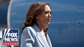 Will Momentum last for VP Harris? | Perino on Politics