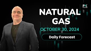 Natural Gas Price Forecast Today, Technical Analysis (October 30): Natural Gas Pulls Back Again