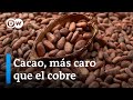 Se disparan los precios del cacao por la sequía en África Occidental