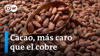 Se disparan los precios del cacao por la sequía en África Occidental