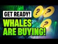 Crypto Whales Are Ready For the Bull Run | Are You?